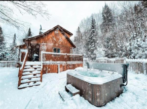 Le Bucheron - SPA privé et accès au lac